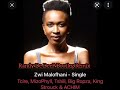 tcire zwi malofhani feat. mizo phyll tshili big ropza king strouck u0026 achim randy de deep cover