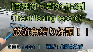 【管理釣り場釣行記録】2021.9.11（放流魚狩り好調！！）/Trout fishing record