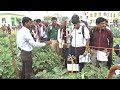 kalash seeds farmer u0026 dealer s taking look at brinjal variety field