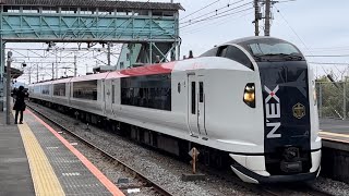 根府川駅にて、JR東日本E259系Ne022編成 団体臨時列車マリンエクスプレス踊り子 通過シーン