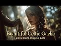 Celtic Moonlight Dreams ✨ Irish Gaelic Vocals, Harp & Forest Ambience for Deep Healing