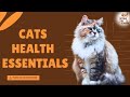 Cat Health Essentials | Expert Tips for a Happy and Healthy Feline Friend |  #catlover #cat #yourcat