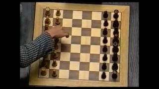 Garry  Kasparov vs Anatoly Karpov