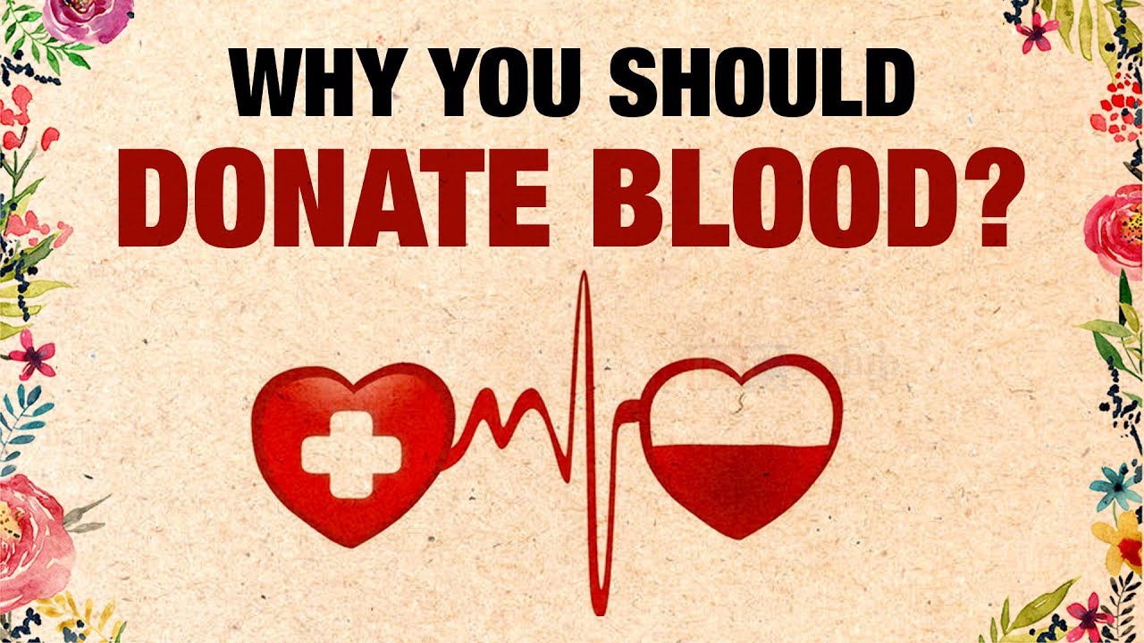 Why You Should Donate Blood?? | Donate Your Blood | After Blood ...