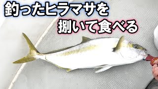 ジギングで釣ったヒラマサを捌いて食べてみた！