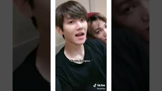 [EXO BAEKSOO]