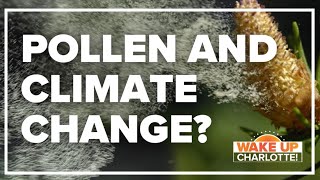 Yes, climate change is increasing the pollen count