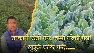 तरकारीको पैसा खुत्रुके फोरेर गन्दै#सासुबुहारी कृषि फर्म#नवलपुर#agriculture#farming#garden#gardening