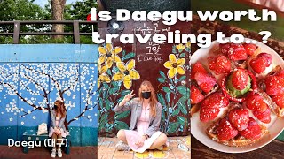 I traveled to Daegu for the weekend 🌺 | Korea travel, cafe vibes, cable car, night markets VLOG~