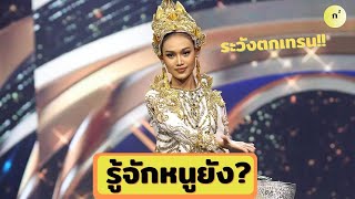 ย้อนดูประวัตินางงาม ที่ทุกคนต้องพูดถึงในตอนนี้