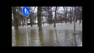 Hoogwater Deventer januari 2011