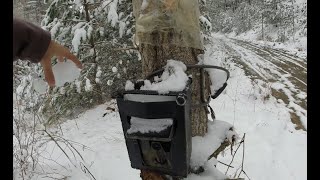 ❄️KARLA KAPLI BUZ🥶 GİBİ ARAZİDE FOTOKAPAN KONTROLÜ! FOTOKAPANLAR BUZ TUTMUŞ!YOLDA YABAN KEDİSİ ÇIKTI