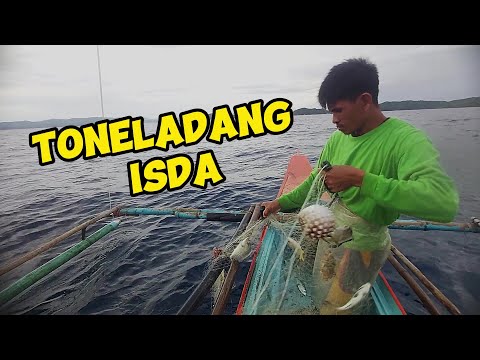 Nasa toneladang isda na ang nahuhuli sa iisang spot lang varando tv