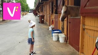 ✔Лошади и дети. Прогулка по конюшне  | Vicky visits Equestrian Centre Centennial Parklands