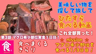 マグロの希少部位を求めて三崎港まで行ってきた。第３話　実食！１日目