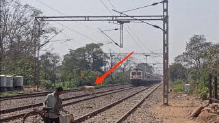 Train hits cow 😢 | 22893 Sainagar Shirdi - Howrah SF Express