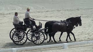 Marcell Balázs DANI (Hungary) - CAI**, H2, Szilvásvárad (Hungary), dressage/díjhajtás, 23 July 2021