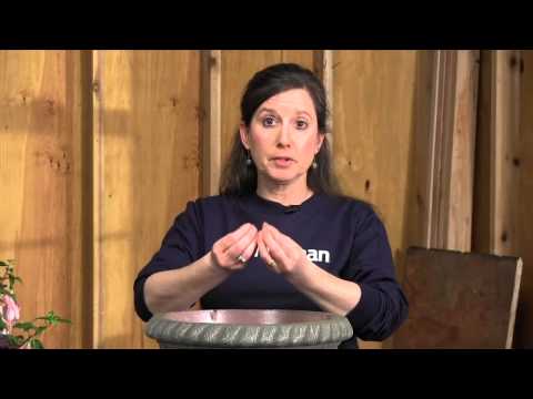 Container gardening tips Container gardening tips