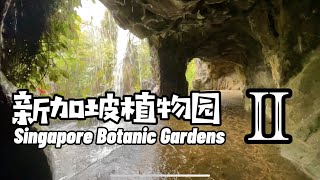 【新加坡植物园2】Singapore Botanic Gardens 2 ||  慢狮城 Slow Singapore 【036】