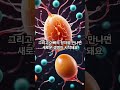 엄마가 태어나기 전부터 이미 존재 인체의신비 비밀 과학 science secrets birth 지식 이슈