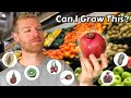 I Grew Fruit Trees from Store Bought Fruits and this is what happened - Full Tutorial