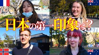 日本の外国人観光客に日本の印象を聞いてみた！