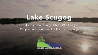 Walleye Watch - Understanding the Walleye Population in Lake Scugog