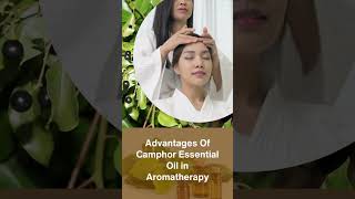 Get Top Quality Camphor Essential Oil at best prices - Aarnav Global Exports