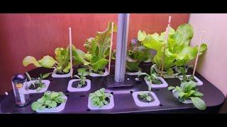 AILISS Pro Hydroponics Grow System Unboxing \u0026 Review 👍