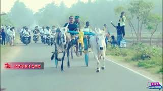 Rekla race || நீண்ட நாளைக்கு பிறகு புதிய ஜோடியுடன் முதல் பரிசு வென்ற பரளி செல்வி காளை