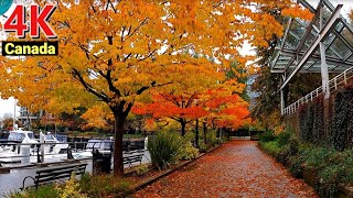 【4K UHD】🇨🇦Downtown Vancouver Walking Tour In Raining, Autumn 2021