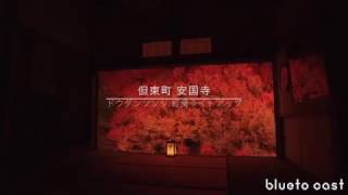 tutuji｜安国寺紅葉ライトアップ｜osmo｜