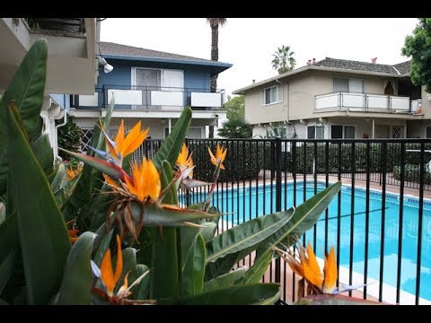 Sunnyvale Home For Rent - 1 Bed 1 Bath - by Property Management in Sunnyvale CA Sunnyvale Home For Rent - 1 Bed 1 Bath - by Property Management in Sunnyvale CA