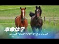 ＯＲＯオータムティアラ【盛岡競馬2023予想】不安要素がたくさんある３歳牝馬重賞