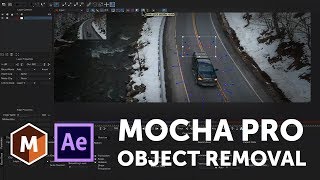 Mocha Pro Tips  How to Remove a Moving Object