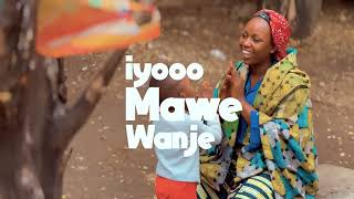 BRYERE NIYUKURI-MAWE WANJE (OFFICIAL VIDEO LYRICS )