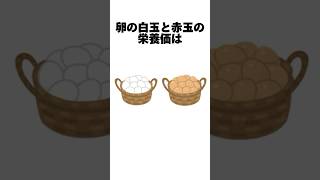 絶対に話したくなる面白い雑学【続きは動画を見てね】#雑学 #トリビア #面白い #shorts #trivia