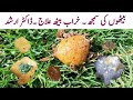 Poultry Droppings | Chicken Normal and Abnormal Poop | Poultry Waste | Diarrhea | Dr. Arshad