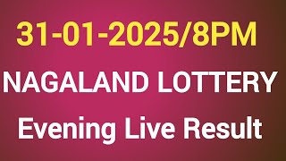 NAGALAND STATE SEAGULL FRIDAY 8PM EVENING LOTTERY LIVE RESULT DATE ON 31.01.2025