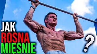 Jak Rosną Mięśnie? | Hipertrofia WYJAŚNIONA!