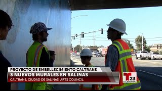MURALES EN SALINAS