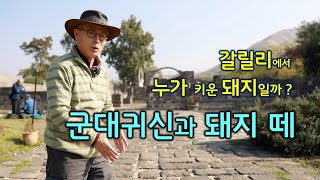 [188] 군대귀신과 돼지 떼/ 쿠르시 /거라사인의 땅/ 거라사인의 지방/ 가다라 지방/ 게르게사/ MEM 연구소/ 유병성 목사