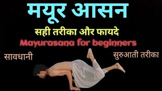 मयूर आसन कैसे करें सही तरीका और फायदे/How to do Mayurasana yoga pose | peacock yoga pose