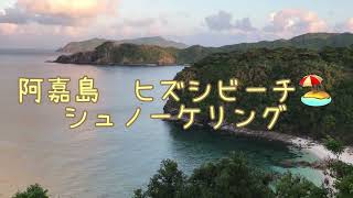 手軽にシュノーケリング 阿嘉島 ヒズシビーチ 　ミカドウミウシ　ツノハタタテダイ　ウケグチイットウダイ