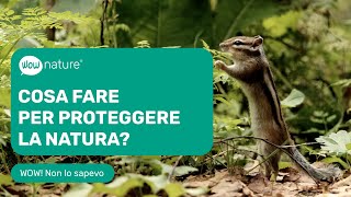 Cosa fare per proteggere la natura?