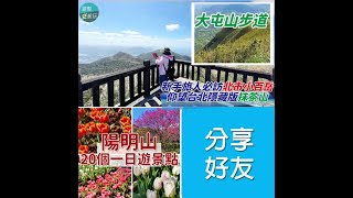 新手旅人必訪北市小百岳：來大屯主峰連峰步道，整片台北市景盡收眼底！