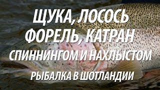 СПИННИНГОВАЯ И НАХЛЫСТОВАЯ РЫБАЛКА В ШОТЛАНДИИ. ЛОВЛЯ ЩУКИ, ЛОСОСЯ, ФОРЕЛИ, МАКРЕЛИ, КАТРАНА