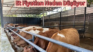 Et Fiyatları Neden Düşüyor - Anguslarda Yapılan Hile