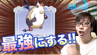 【どこパレ】SSランクを最強に育てる！【またもや激アツ演出！】ドラゴンクエストどこでもモンスターパレード