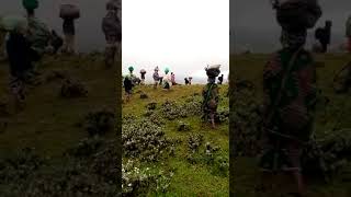 Banyamulenge community fleeing village May 2021